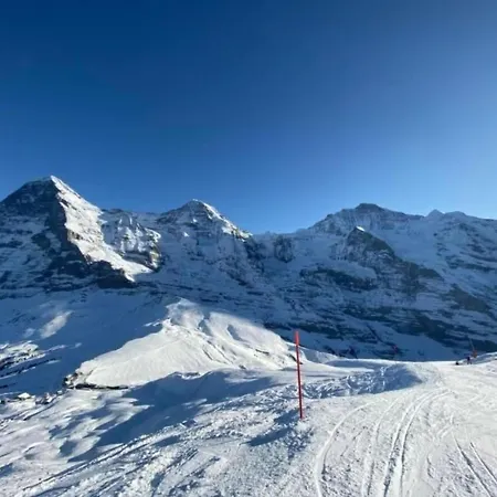 Daire Herrschaft 4 Bett By Interhome Grindelwald