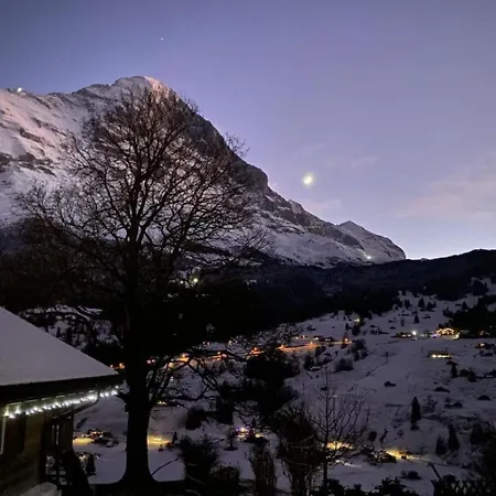 Herrschaft 4 Bett By Interhome Apartament