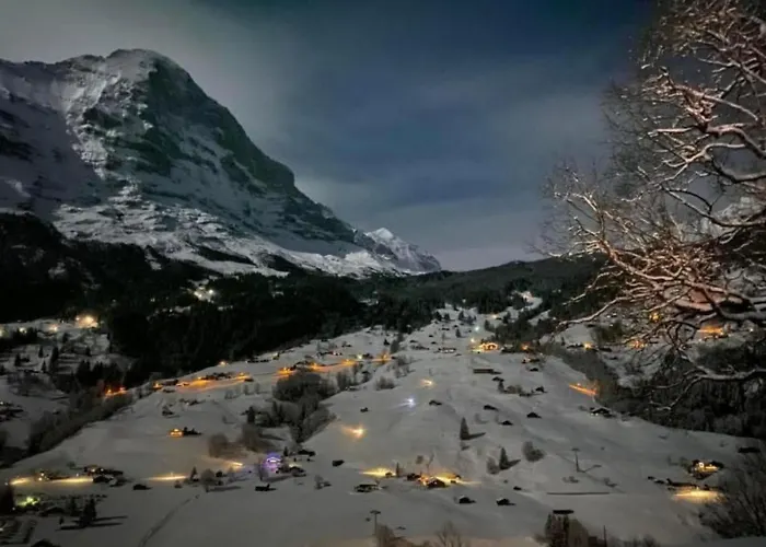 Herrschaft 4 Bett By Interhome شقة