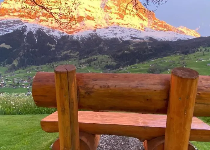 Herrschaft 4 Bett By Interhome * جريندلوالد