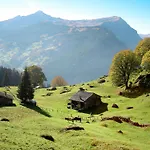 Herrschaft 4 Bett By Interhome Grindelwald