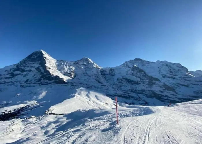 Lägenhet Herrschaft 4 Bett By Interhome Grindelwald