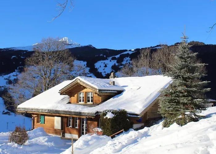 Herrschaft 4 Bett By Interhome