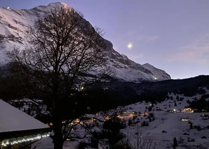 Herrschaft 4 Bett By Interhome Lägenhet