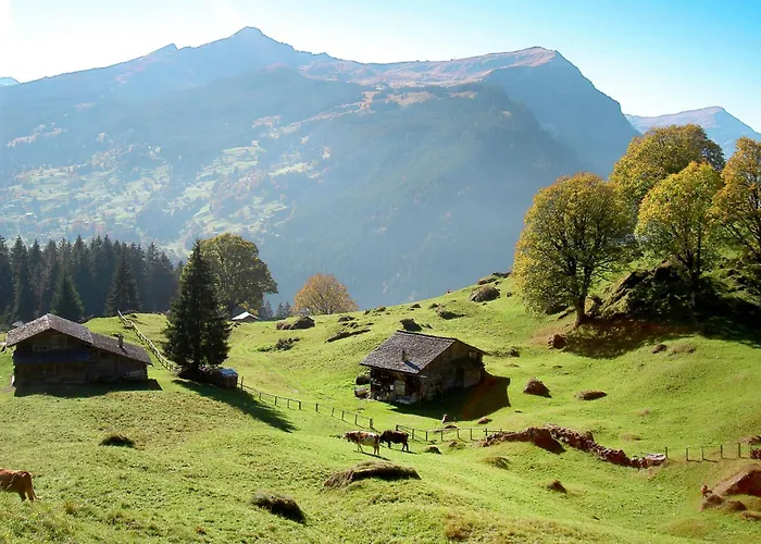 Herrschaft 4 Bett By Interhome Grindelwald